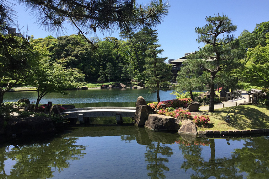 龍仙湖と渓流の見どころ