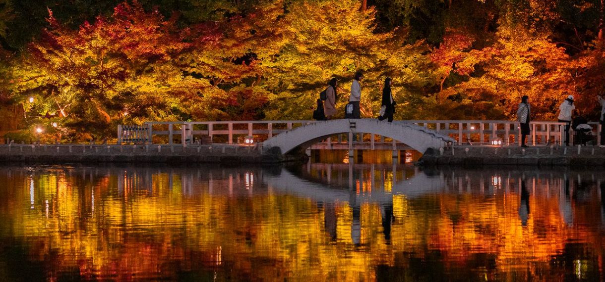 紅葉に染まる徳川園